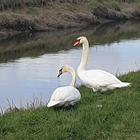 Delightful Cottage On The River Adur Close To Brighton & The Downs No Dogs Sorry Upper Beeding Bagian luar foto